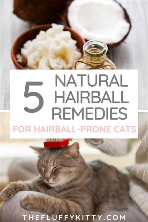 My cat ate the strings/straps off a lot of my clothing. Is There A Natural Hairball Remedy for Cats? - Fluffy ...