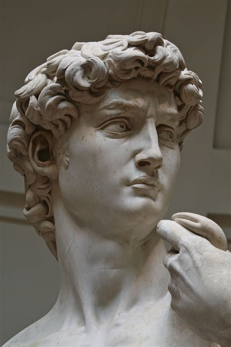 Pa la posteridade miguel ángelo permanece cumo un de ls poucos artistas que fúrun capazes de. David (Michelangelo) - Wikiwand