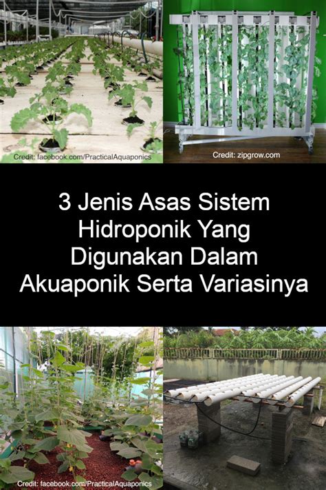 Maybe you would like to learn more about one of these? 3 Jenis Asas Sistem Hidroponik Yang Digunakan Dalam ...