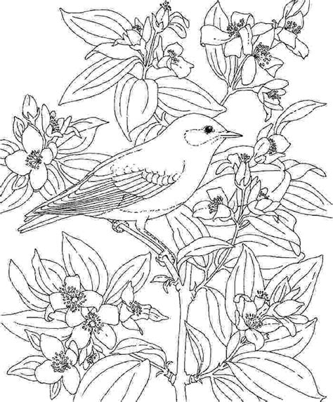 But now more than ever we encourage you to find something that you love doing that will fill your cup and bring peace to your heart and soul. Hawaiian Flower Coloring Page at GetColorings.com | Free ...