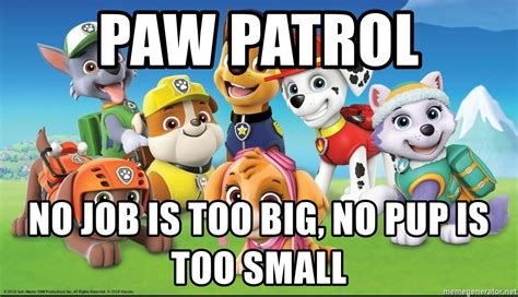 Beni, khurshid too important for small jobs cong.mp4. Paw Patrol No job is too big, no pup is too small - Paw ...