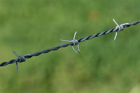The third type of barbed wire is the most odd one. File:Barbed Wire, SC, Victoria, 15.9.2007.jpg - Wikipedia