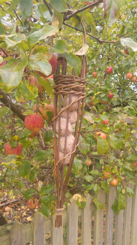 The park is open daily from 9:00am to 6. Wicker Bird Feeders • Northumberland National Park