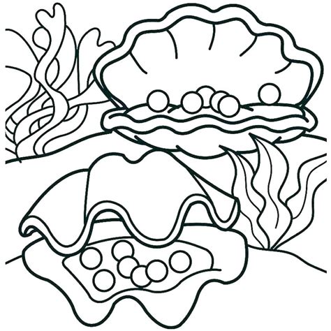 Love to color in designs or know someone who does? Scallop Shell Drawing | Free download on ClipArtMag