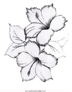 Dal 3 settembre 2012 condotto da fiore manni. Hibiskusblute 2 gratis Malvorlage in Blumen, Natur - ausmalen
