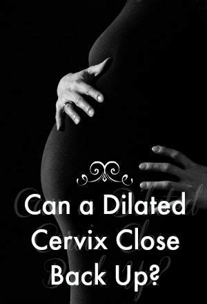 Anyway to perform the cervical check insert two fingers into the vaginal canal and find the cervix. Can My Cervix Close Back Up? | Cervix, Cervix dilation ...