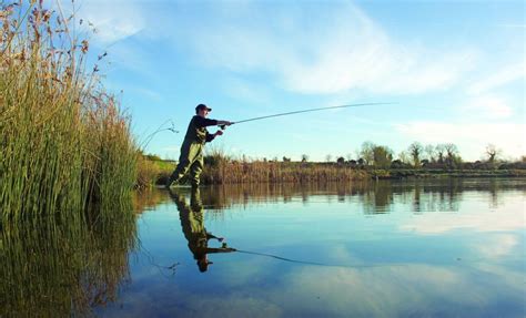 We have over 25,000 uk holiday cottages to rent from 26 agents which have all be inspected. Ireland. | Ireland cottage, Luxury holiday cottages, Fly ...