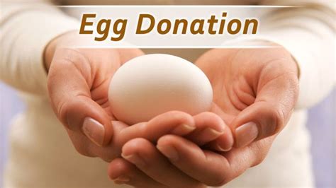 According to new york state department of health, the irs does request that. How Much Do You Get For Donating Eggs And Best Places To Try