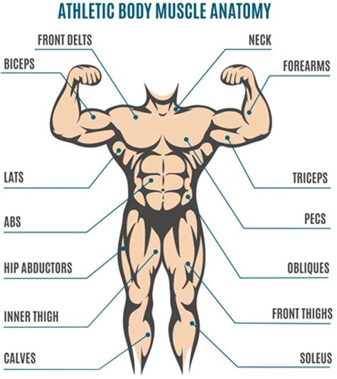 Pengenalan kumbahan adalah bahan buangan domestik, komersial atau industri daripada sesuatu pembangunan bercampur. English Vocabulary: Parts of the Body in English