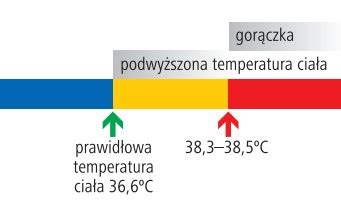 Temperatura ta może być nawet o pełny stopień. Gorączka: czy należy z nią walczyć? | 4 dioptrie