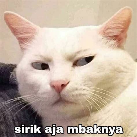 Check spelling or type a new query. Kumpulan Meme Hewan dan Kartun di 2020 | Kartun, Hewan ...