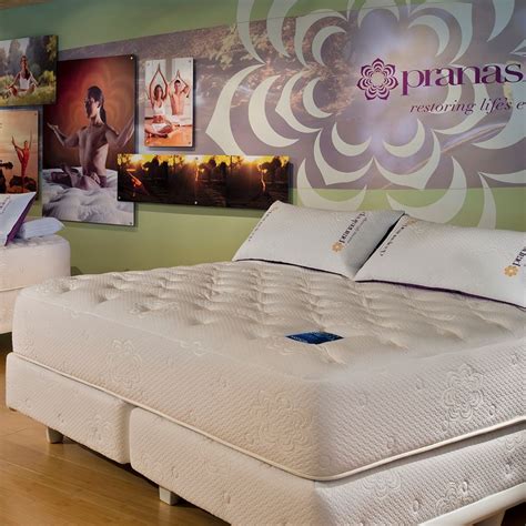 A premier naples furniture store and design destination offering great service and great value. A PranaSleep gallery and disp... - City Mattress Office ...