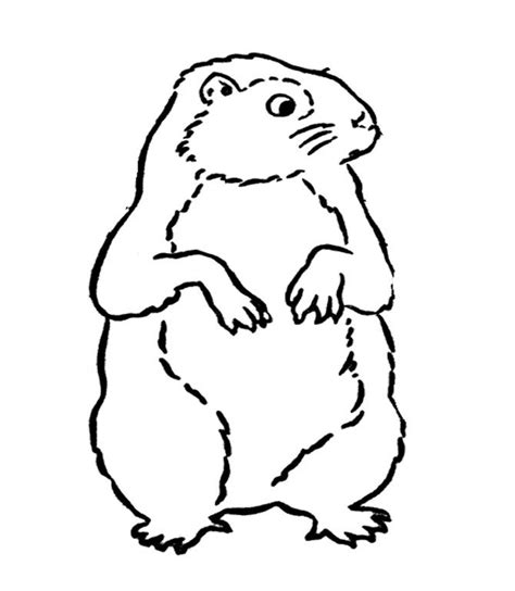 Download and print for free. Groundhog #10985 (Animals) - Printable coloring pages