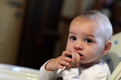 Dabei benutzen sie in der regel die finger. Ab wann dürfen Babys Aubergine essen? | Babyled Weaning