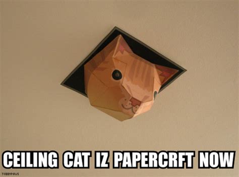 Build this ceiling cat papercraft to watch over you. Papercraft ceiling-cat | Boing Boing