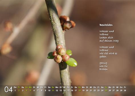 Wie jedes jahr bieten wir ihnen an dieser stelle an, unsere ferienkalender 2021 zum ausdrucken mit ferien, kostenlos herunterzuladen.dabei können sie gemäß ihren ansprüchen eine darstellung als jahreskalender, als halbjahreskalender, als quartalskalender oder als monatskalender wählen. Kalenderblatt April 2021 - Uta Lösken - Künstlerin und ...