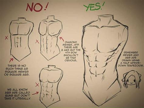 In this guide, i will show you the anatomy of the human torso and i will teach you how to draw the torso in every. Pin by dani on Draw manga tips | Drawing tutorial, Art ...
