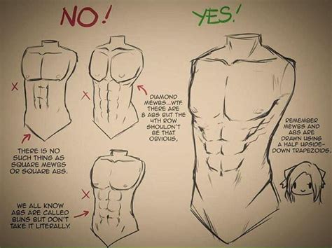 Likewise, many torso muscles, such as the abdominals and quadratus lumborum attach to the structural lifts load the spine and require the torso muscles to be active and strengthened over time. Pin by dani on Draw manga tips | Drawing tutorial, Art ...