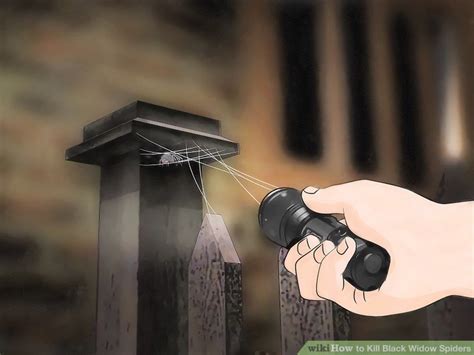 Black widow spiders have the most toxic spider bite in the us. 3 Ways to Kill Black Widow Spiders - wikiHow