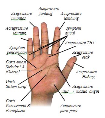 Cara mengatasi telapak tangan gatal karena kudis, yakni anda perlu lebih dulu membasmi tungau di kulit. Check up berdasarkan sintomic telapak tangan | KLINIK ...