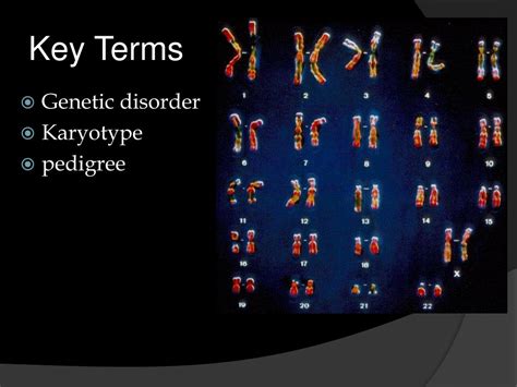 Chromosomes 21 and 22 are the largest human chromosomes. PPT - Human Genetic Disorders PowerPoint Presentation ...