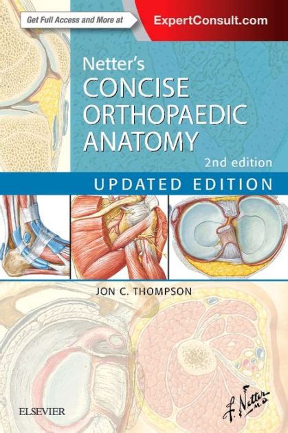 The test has 120 multiple choice and true/false questions. Netter's Concise Orthopaedic Anatomy E-Book, Updated ...