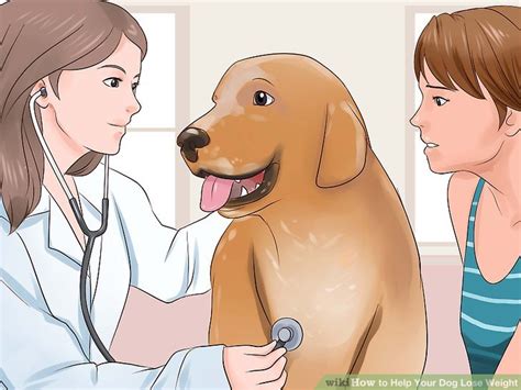 Watch this success story of a 77 pound wiener dog loses 50 pounds by going on a diet with his new owner. How to Help Your Dog Lose Weight (with Pictures) - wikiHow