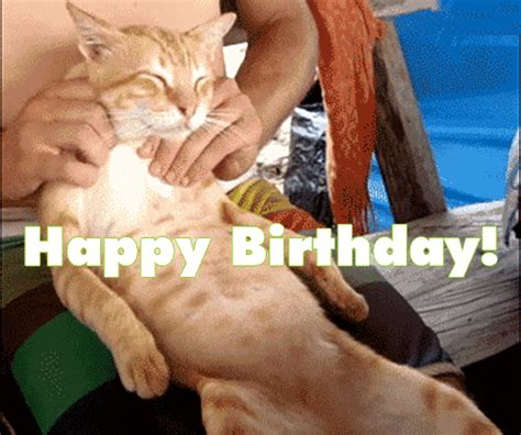 Be careful with this gif and use it at your own risk. Funny Birthday Wishes For Friend - Happy Birthday Wishes ...