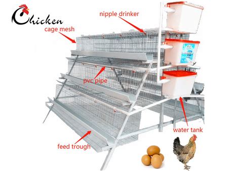See more ideas about house design, architecture house, modern house design. Automatic Chicken Layer Battery Cage , Q235 Steel Modern ...