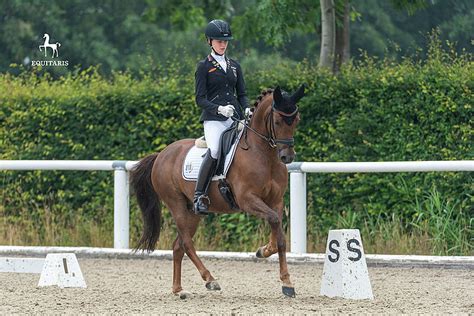 Der kleine sunnyboy we und seine reiterin shona benner gewinnen mit 74.955% die cdi pony prüfung in lier! Das EM Team steht