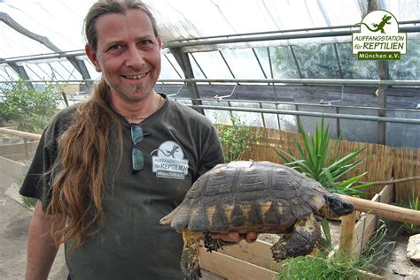 Häufig sind es interessenten, die sich noch nicht lange mit der haltung dieser faszinierenden reptilien auseinandersetzen und der meinung sind, dass kleine schildkröten wenig platz benötigen und leicht zu pflegen sind. Opened in spring 2014 already more than 500 animals live ...