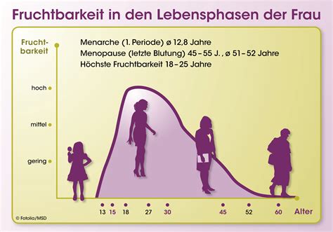 Um dein fruchtbarkeitsfenster zu bestimmen, kann dir deine zykluslänge helfen. Fruchtbarkeit der Frau - Wie lange verhüten? - LZ ...