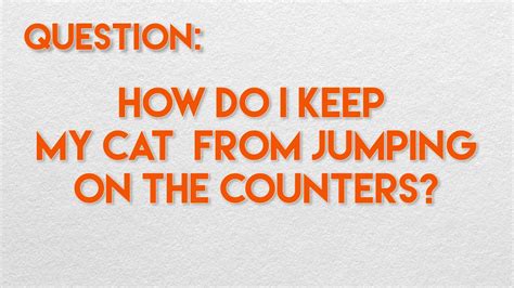 Maybe you would like to learn more about one of these? How Do I Keep My Cat From Jumping on the Counters? - YouTube