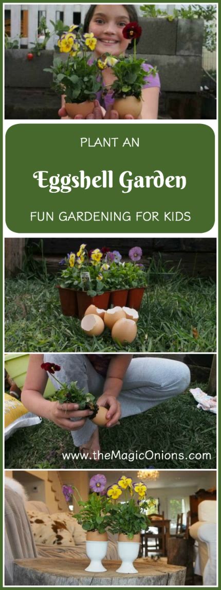 Some families, however, use plastic eggs instead of the real thing. Planting Mini Pansies in Egg Shells for Easter Decorations ...