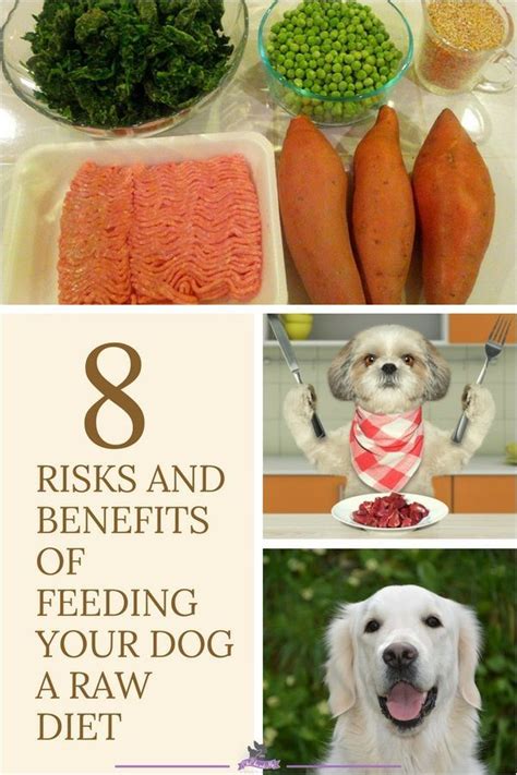 Rw titan red fine grind complete diet. 8 Risks And Benefits Of Feeding Your Dog A Raw Diet | Raw ...