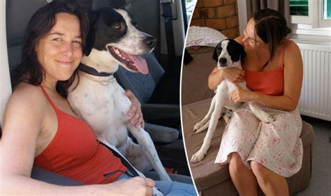 They quickly become lovers and he proposes. Woman marrying her DOG after first husband - A CAT - died ...