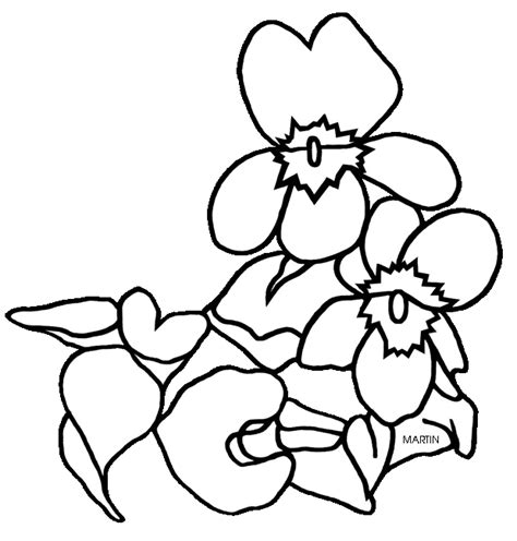 The wisconsin state flower is the wood violet. Illinois Drawing | Free download on ClipArtMag