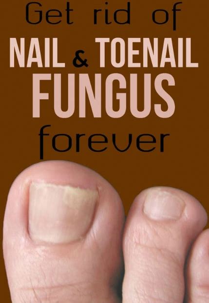 Cleaning underneath your acrylic nails requires a gentle touch so remove the nail from your finger. Pin on French Tip Acrylic Nails