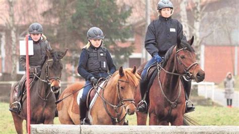 Hätte ich das reiten nicht angefangen, würde ich heute wahrscheinlich. Werner Vielseitigkeitstage: Julia Krajewski reitet, Ingrid ...