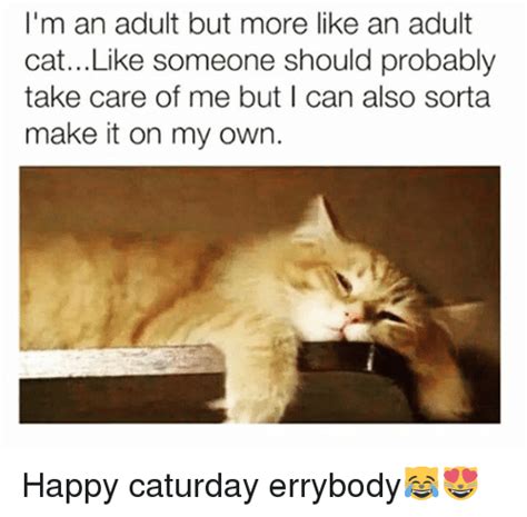 The best saturday funny images. 25+ Best Memes About Happy Caturday | Happy Caturday Memes