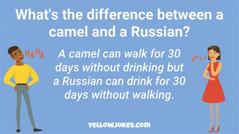 What do you call a zebra with no stripes? Hilarious Camel Jokes That Will Make You Laugh