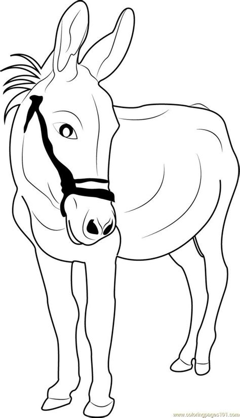 Enter now and choose from the following categories Marvelous Picture of Donkey Coloring Page | Coloring pages ...