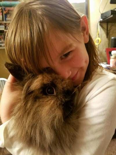 Full grown lionhead rabbit white. Our Lionhead Does - HOPE & HONOR RABBITRY