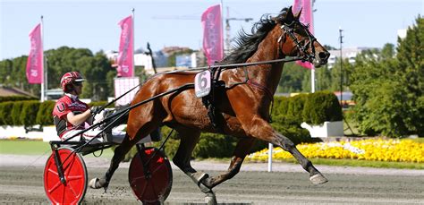 Matka euroopan suurimpaan ravitapahtumaan elitloppettiin, joka. Segraren i Finlandia Ajo till Elitloppet i år igen