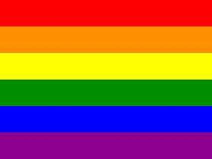 Surveys must be related to bisexuality or the lgbt community, and. Bandera del Orgullo Gay ︎ | Colores y Significado ️