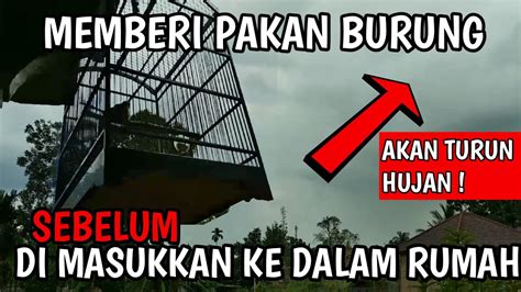 Memelihara hewan peliharaan di rumah tentunya menjadi hobbi tersendiri bagi sejumlah orang. PEMBERIAN PAKAN KEPADA BURUNG PELIHARAAN | SEBELUM ...
