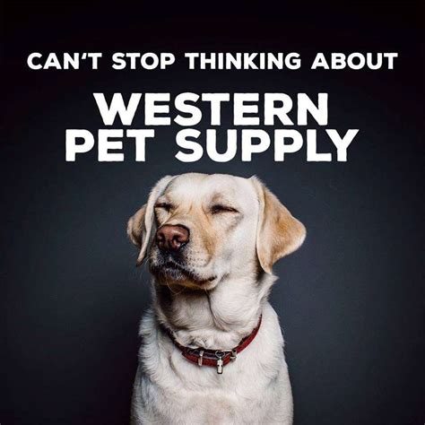 Gilbert nursery and seed trade catalog collection. Western Pet Supply - Portland, OR - Pet Supplies