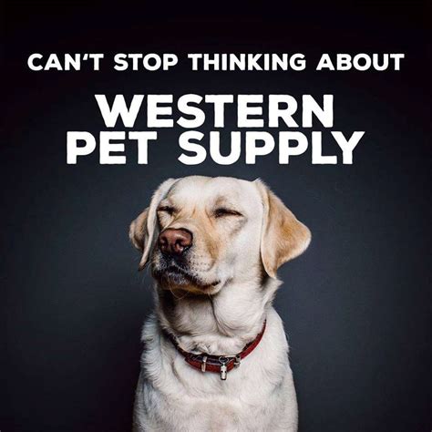 See more of portland pet supply on facebook. Western Pet Supply - Portland, OR - Pet Supplies