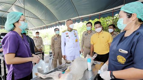 2521 มีพระนามเดิมว่า สุทิดา ติดใจ ทรงสำเร็จการศึกษาหลักสูตรนิเทศศาสตรบัณฑิต. 'พระราชินี'พระราชทานอาหารสัตว์ให้'ตลกต๊ะติ๋งโหน่ง'