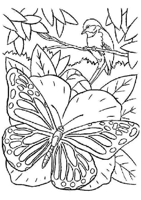 Coloriages papillons a colorier, coloriages papillon feu, papillon fleur, papillon cœur. Coloriage papillon oiseau sur Hugolescargot.com